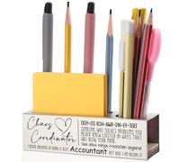 EFFJNSG Accountant Gifts, Funny Pen and Pencil Holder for Accountants, Chaos Coordinator Gifts, Thank You Gifts for Financial Professionals, Appreciation Desk Organizer for Work Recognition EDP49