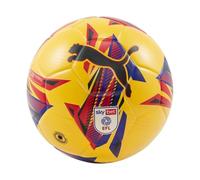 Puma Orbita 3 EFL Sky Bet Match Football (FIFA Quality Certified) Dandelion 5