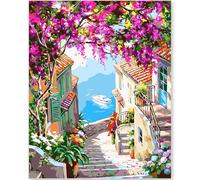 EFOTIML Paint by Numbers Kit for Adults Beginners & Kids Ages 8-12,1 Pack 16x20 inches Canva for Painting Kits for Adults in Colorful Box(Without Frame)-Flower Towns