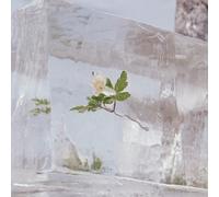 Efterklang Wildflowers (Vinyl) 12" Album (US IMPORT)