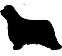 EFY I Love Bearded Collie Mens Socks, China Mug and or Coaster. Heat Pressed Novelty Gift (Socks)