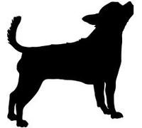 EFY I Love Chihuahua Mens Socks, China Mug and or Coaster. Heat Pressed Novelty Gift (Socks)