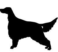 EFY I Love Setter Mens Socks, China Mug and or Coaster. Heat Pressed Novelty Gift (Socks)