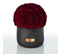 EG EMMIE GRAY Black Solid Infinity Collection - Dreamlike Infinity Roses, 1-3 Year Durable Roses, Concrete Vase with Real, Preserved Roses, Elegant Premium Roses - Size L (Burgundy)