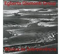 Egberto Gismonti - Musica de Sobrevivencia