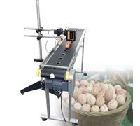 Egg Date Coding Machine, Online Inkjet Coder Set, Smart Inkjet Printer for Small Assembly Line, Commercial Coder