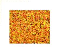 Egg food moist fruity Canaries British and Foreign Finch Budgies weighed out