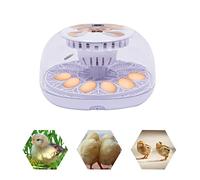 Egg Incubator 20-50℃ Adjustment Temperature Control Hatching Machine for Families/Training Automatic Incubator for Chicken Eggs, Poultry Hatcher for Chickens Ducks Birds, White (Capacity:12 Eggs)