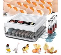 Egg Incubator And Hatcher , Automatic Egg Turning + Automatic Water Addition + Temperature Control + Dual Power Supply, for Chicken Goose Bird Quail Incubation Equipment Hatchery Poultry Tool,56eggs