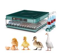Egg Incubator, Digital Automatic Poultry Hatcher Machine with Automatic Turner, Temperature and Humidity Control for Quail, Duck, Chicken, Goose