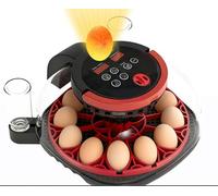 Egg Incubator for Hatching Chicks, Automatic Turner, 12 Eggs incubator, Remote Viewing, Temperature Display, Egg Candler, for Farm Science Classroom Home Chicken Duck Quail