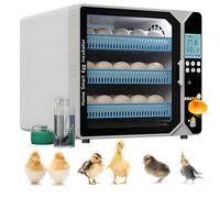 Egg Incubator for Hatching with Automatic Turner, Temperature Control, Water Refill, 3-Layer Adjustable Tray