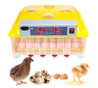Egg Incubator, Fully Automatic Hatcher for Chicken, Duck, Quail & Bird Eggs, Smart One-Touch Operation, Large Capacity, Ideal for Home Poultry Farming