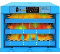 Egg Incubator with Automatic Turning and Digital Temperature Control for Hatching Chicken, Duck, Goose, Quail, and Turkey Eggs
