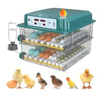 Egg Incubator with Automatic Turning, Temperature & Humidity Control, Water Replenishment, Egg Candle, 5 Modes - 120 Egg Capacity for Quail, Duck, Chicken, Pigeon