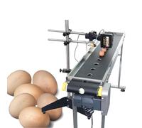 Egg Inkjet Printer,High-Resolution Automatic Date Number Printer Tool,for Print Date Coder Barcodes Lot Codes Coding