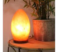 Egg Shaped Rock Salt Lamp with Wooden Base Natural