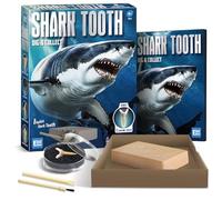 EggBox Shark Tooth Excavation and Collection Kit, Fossil Digging Kit for Kids, 1 Real Shark Tooth and 8 Replica Shark Teeth for Boys and Girls Aged 6,7,8,9,10 and 12 Years