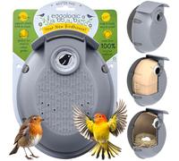 eggologic Nester Pod - Perch Free Vertical Bird Box for Wild Birds - Sparrow and Blue Tit Bird House, Bird Houses for Garden Made from 100% Recycled Materials for Strength and Durability - Stone Gray