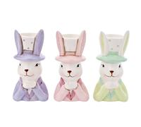 Eggs-traordinary Gift Co Set of 3 Easter Bunny in Top Hat Planter Mini Multi Coloured | Size: Small Eggs-traordinary Gift Co Multicolor Small