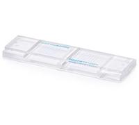 Eggzamin McMaster Method Microscope Slide Fecal and Worm Egg Count for Parasites for Horse Sheep Cattle (Is Your Dewormer Working?) FECRT Reference Guide Incl.