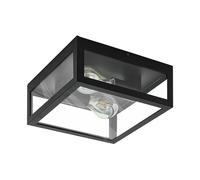 Eglo Amezola 2-Flame Flush Ceiling Light