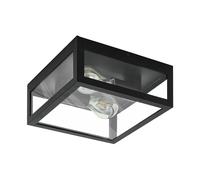 Eglo Amezola 2-Flame Flush Ceiling Light, Industrial and Vintage Design Lighting, Living Room, Kitchen and Bedroom Wall Lamp