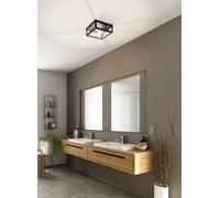 Amezola Clear Metal And Glass IP44 Bathroom or Outdoor Wall or Ceiling Light EGLO Black One Size