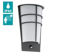 Eglo Anthracite Zinc Plated Exterior Wall Light With Sensor, Grey