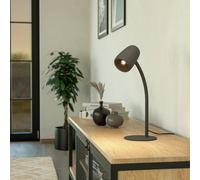 EGLO Carlo Modern Steel Flexible Desk Lamp - Black