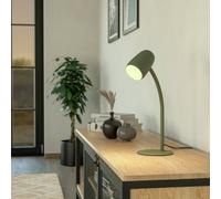 EGLO Carlo Modern Steel Flexible Desk Lamp - Green