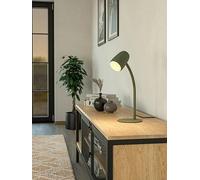 Eglo Carlo Modern Steel Flexible Desk Lamp, Green Print
