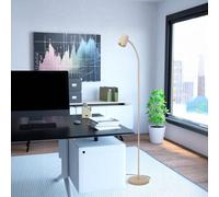Eglo Carlo Modern Steel Flexible Floor Lamp, Sandy