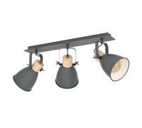 Eglo Ceiling Light Coswarth