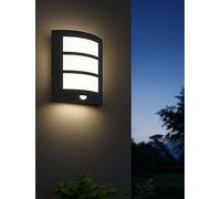 Eglo Black Zinc-plated Steel Outdoor Wall Lamp, Black