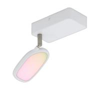 Eglo Connect LED Wall Light Palombare-C, 1-Flame Smart Home Ceiling Lamp in Metal, Aluminium and White Plastic, Spotlight with RGB and Adjustable Light Colour (Warm, Neutral, Cold), Dimmable