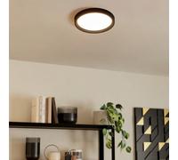Eglo Basic Idun-E Black Ceiling Light EGLO Black