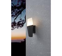 Eglo FARINDOLA Black Outdoor Wall Light EGLO Black