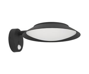 Eglo IP44 Cerrisi Solar Wall Light
