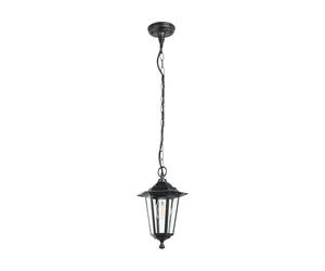 Eglo Latern 4 Outdoor Hanging Light, 6 Panel Lantern Made of Cast Aluminium and Glass, Colour: Black, Socket: E27, IP44