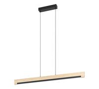 Eglo LED Pendant Light Camacho, Single-Flame Hanging lamp dimmable