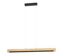 Eglo LED Pendant Lighting Camacho, dimmable Hanging lamp