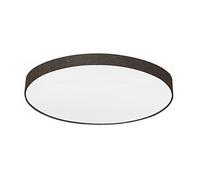 EGLO Passteri 97623 Ceiling Light Steel White