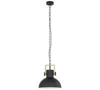 Eglo Pendant Lighting Lubenham, Vintage Hanging lamp in Industrial Design