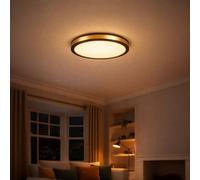 Eglo Pescaito Led Black And Gold Flush Round Ceiling Light, Large