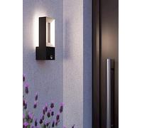 Eglo Riforano Outdoor Wall Light Sensor Black, Black