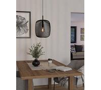 Eglo Romazzina Black Caged Single Pendant Light Black