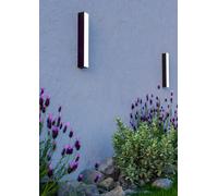 Eglo Salitta Black Led Surface-Mounted Light Black