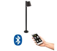 Eglo Smart Home LED Outdoor Floor Lamp Caldiero-C, Path Light, Outdoor Standing Lamp, Galvanised Steel in Anthracite, White Plastic, E27 Socket, IP44