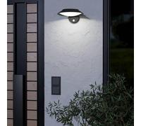 Eglo IP44 Cerrisi Solar Wall Light